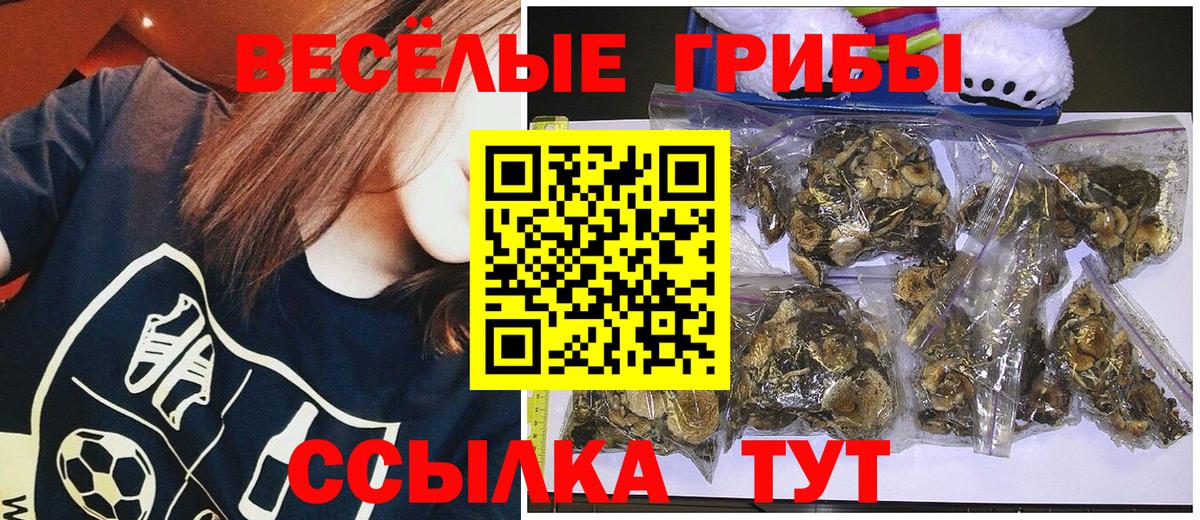 Псилоцибиновые грибы GOLDEN TEACHER Россия