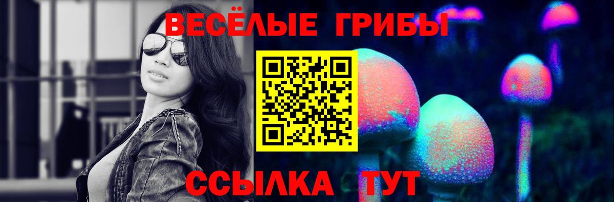 Галлюциногенные грибы Magic Shrooms  Галлюциногенные грибы Psilocybine cubensis  Вход с VPN  Россия 